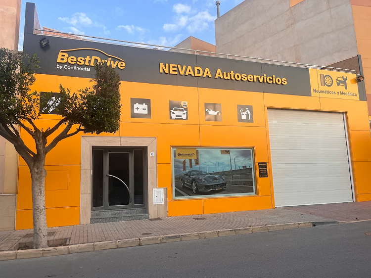 01_BD_Neumáticos Nevada Autoservicios.png