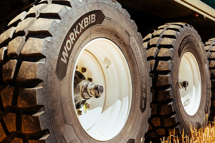 01 michelin-workxbib_redes.jpg