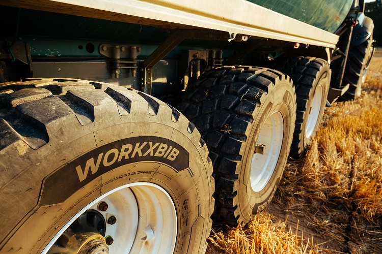 03 michelin-workxbib_redes.jpg