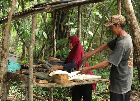 5.000 pequeños agricultores han participado en el proyecto en Indonesia