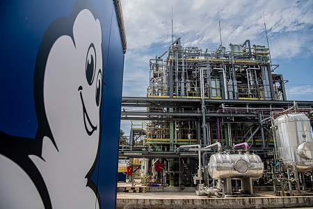 El programa BioButterfly