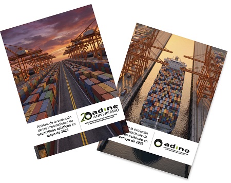 Datos de las importaciones de neumáticos asiáticos