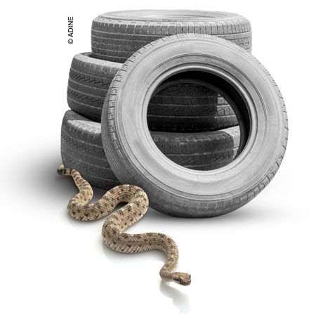 ADINE prosigue su lucha contra el fraude