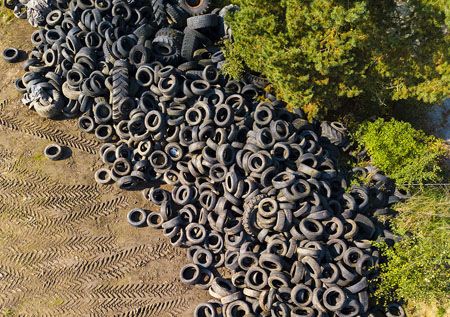 ADINE se reúne con el SEPRONA