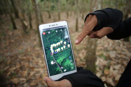 Cadena de suministro de caucho, sostenible y rastreable