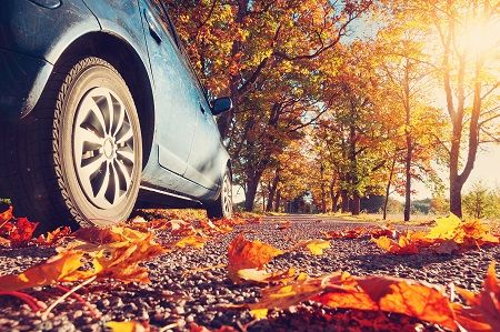Consejos para conducir seguro en otoño