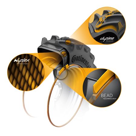 Continental en EXPOLIVA 2019