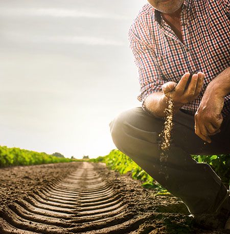Continental lanza su campaña 'Pasión por la Tierra'