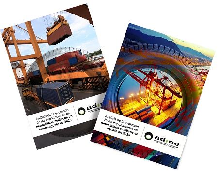 Datos de las importaciones de neumáticos asiáticos