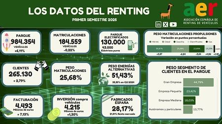 Datos del renting en 2025