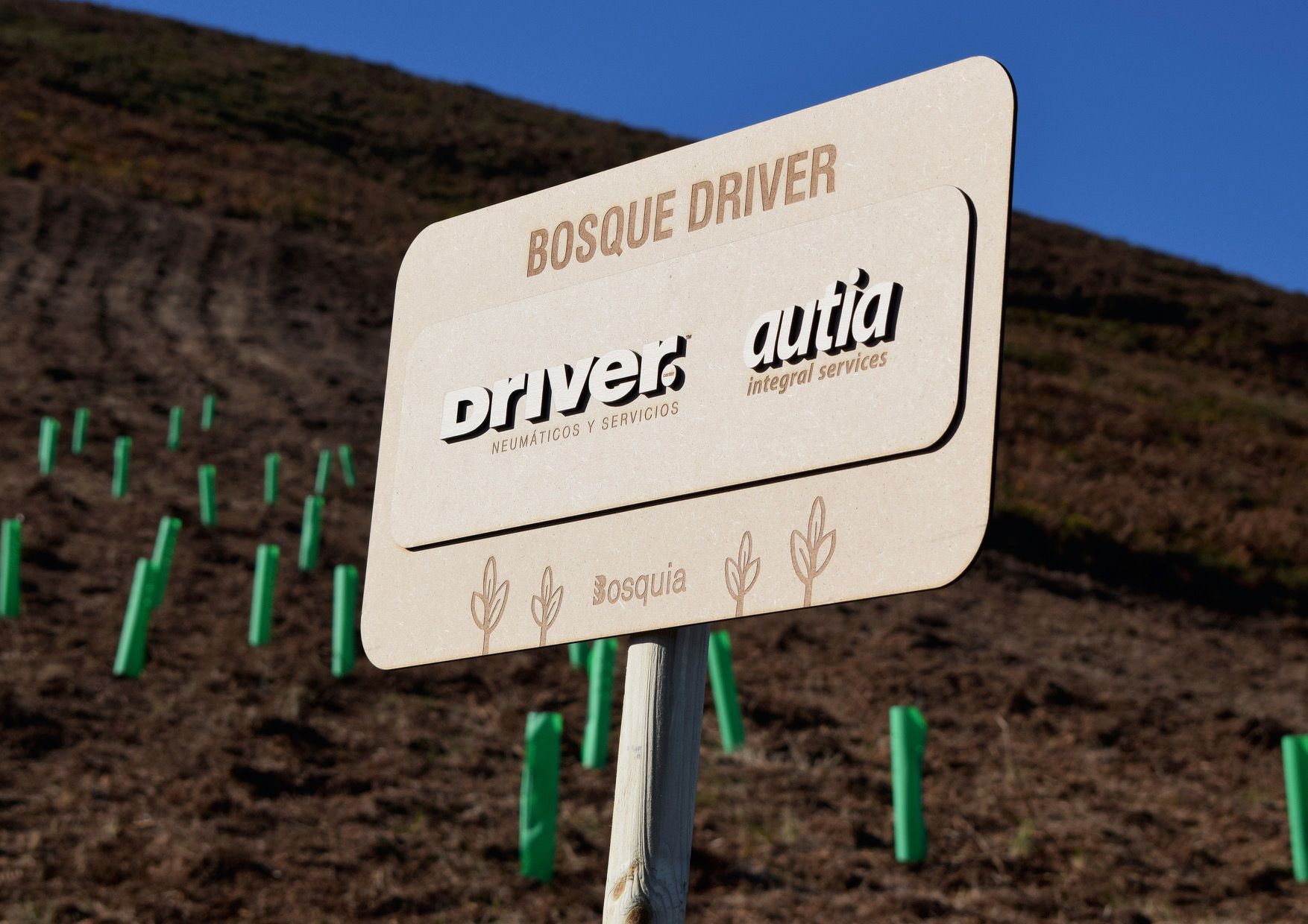 El Bosque Driver brota en Llanes