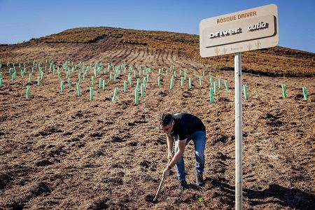 El Grupo Driver impulsa en Portugal su segundo Bosque Driver