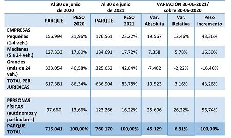 Evolución del parque de vehículos en renting por tipo de cliente
