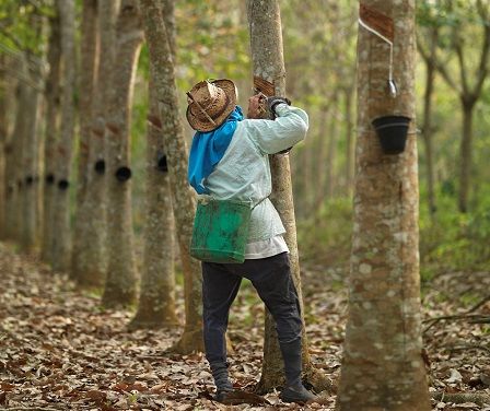 Fabricado de con caucho natural y rayón