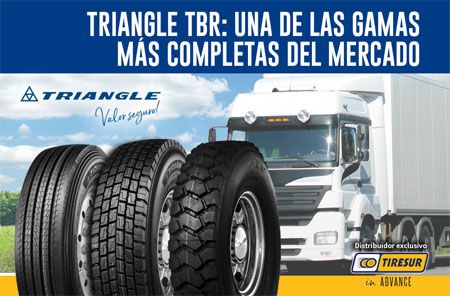 Gama Triangle TBR para camión