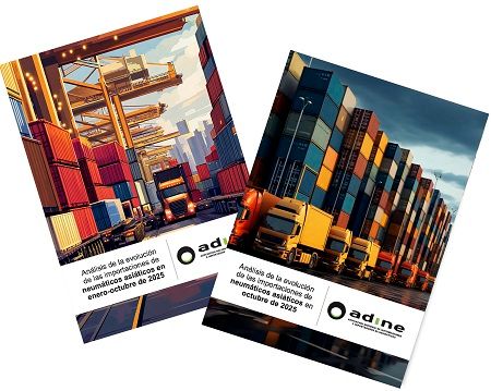 Importaciones de neumáticos asiáticos