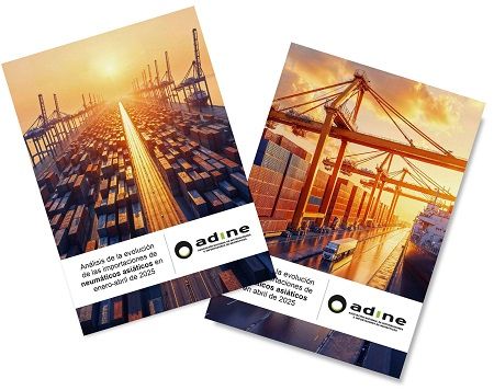 Informe sobre la evolución de las importaciones de neumáticos asiáticos en España