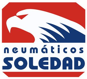ISO 9001 para Neumáticos Soledad