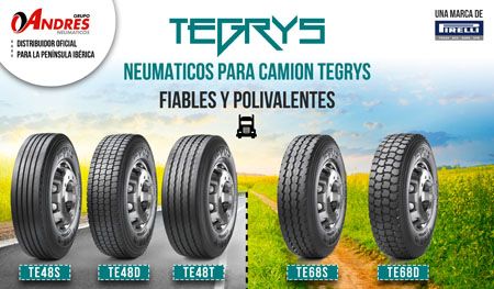 La gama de neumáticos de carretera Tegrys 