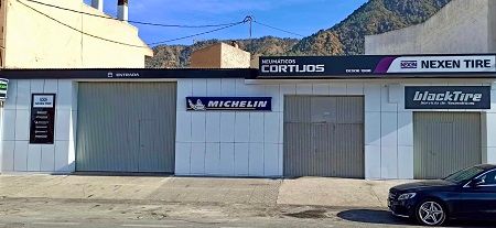 Neumáticoa Cortijos