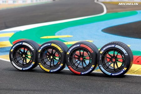 Neumáticos Michelin utilizados en la prueba