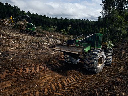 Nokian Logger King LS-2