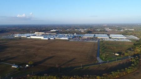 Planta de Mount Vernon 