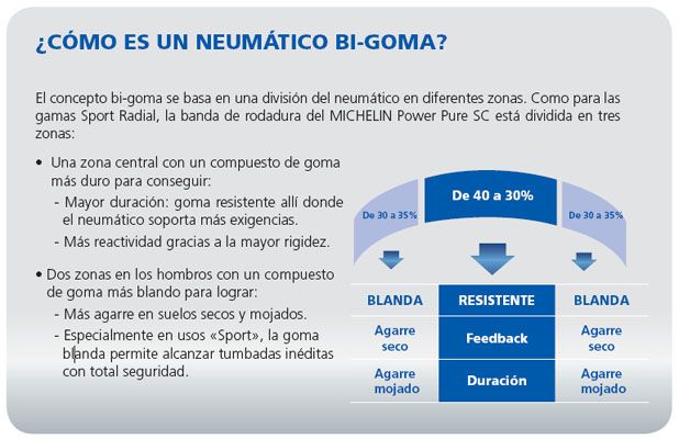 ¿Qué es el sistema bigoma?