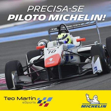 'Se busca piloto Michelin'