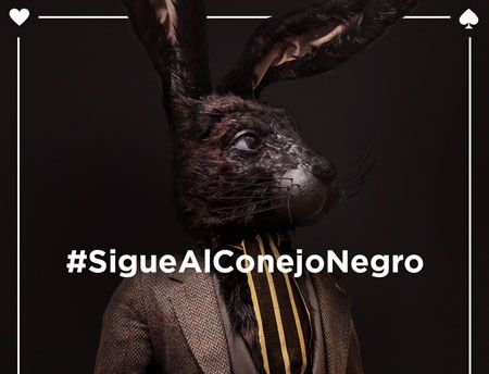 #SigueAlConejoNegro
