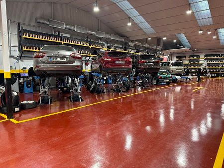 Superficie de 1.000 m² y un stock de 4.000 neumáticos