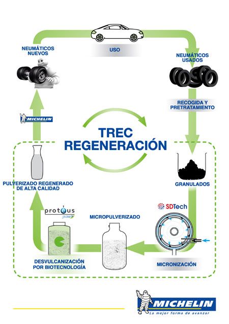 TREC Regeneración
