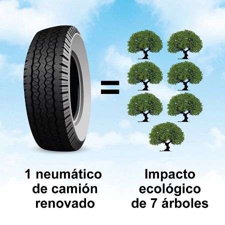 Un neumático recauchutado de camión es igual a 7 árboles