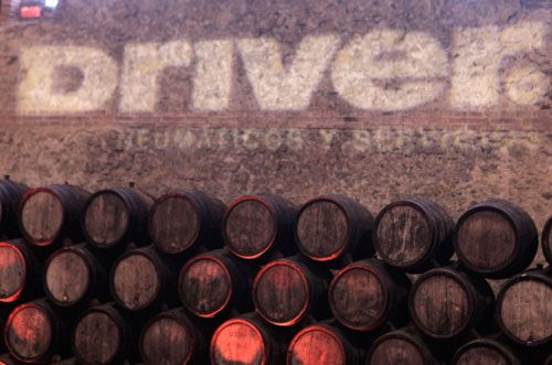 Visita a las cavas Codorniu